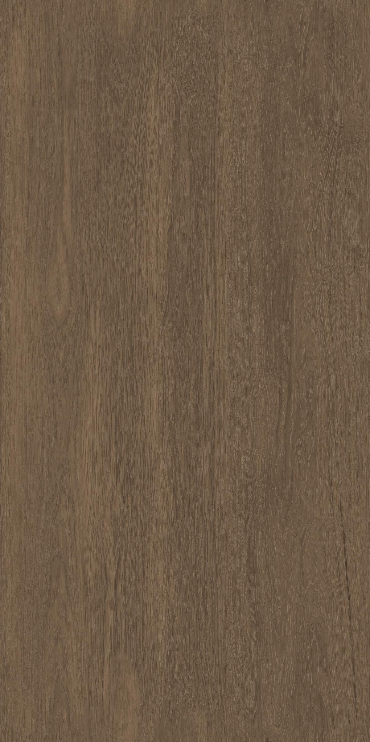 126FJR513C 云岭桦木产品图